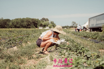 强荆远相关图片