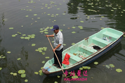 桂路相关图片